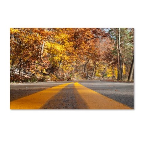 Trademark Fine Art Kurt Shaffer 'Autumn Road' Canvas Art, 12x19 KS502-C1219GG